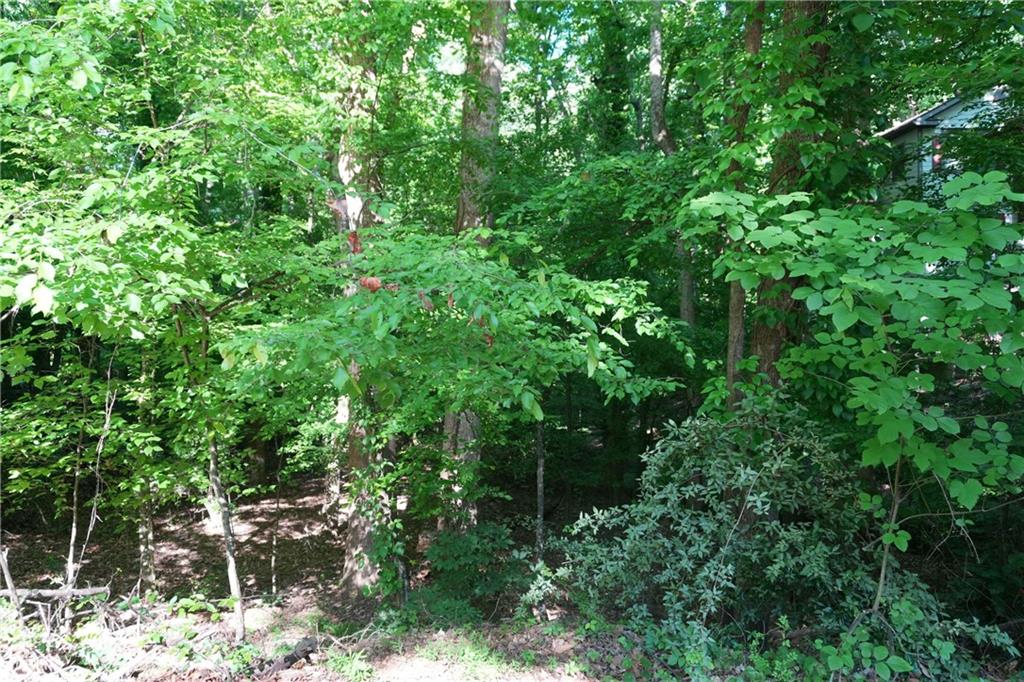 0 Lakeside Trail Property Photo 5