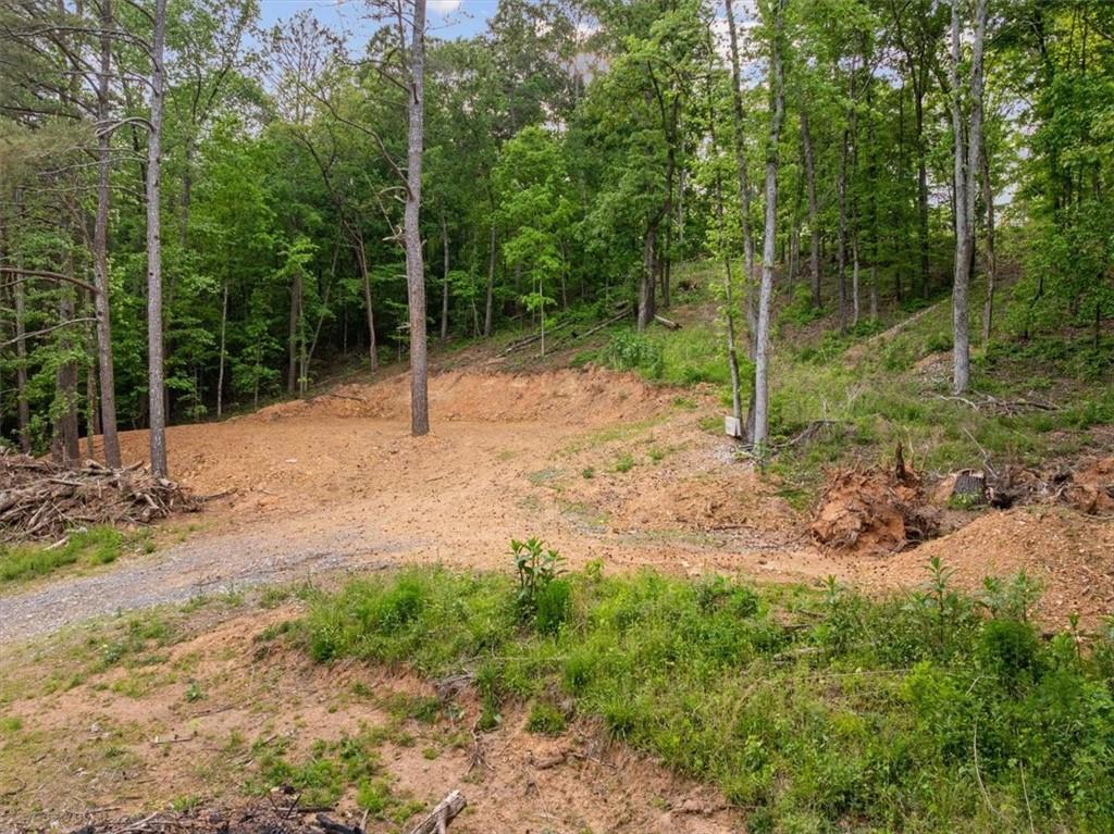 307 Moores Ferry Road Sw Property Photo 2