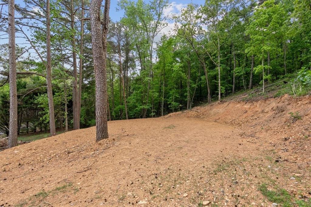 307 Moores Ferry Road Sw Property Photo 3