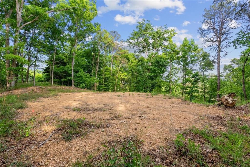 307 Moores Ferry Road Sw Property Photo 4