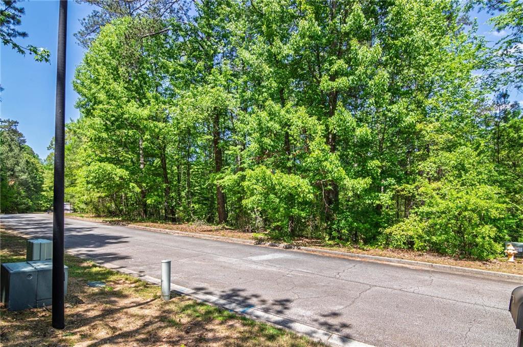 45 Cornish Trace Drive Property Photo 7