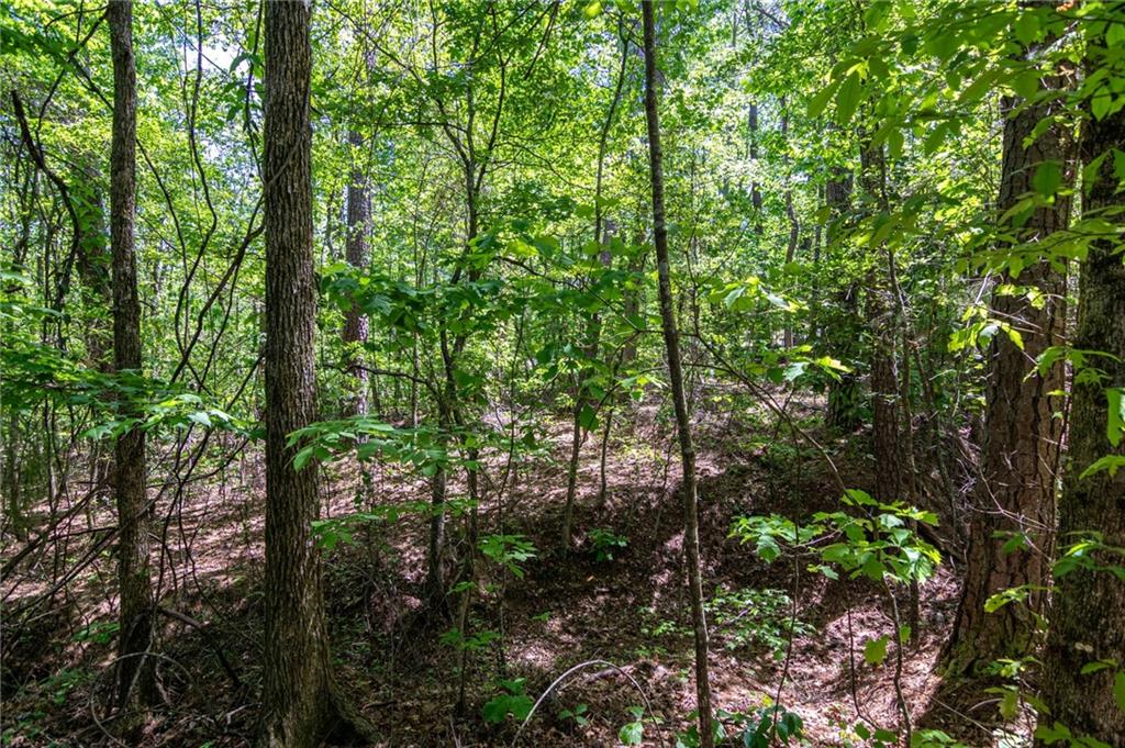 45 Cornish Trace Drive Property Photo 12