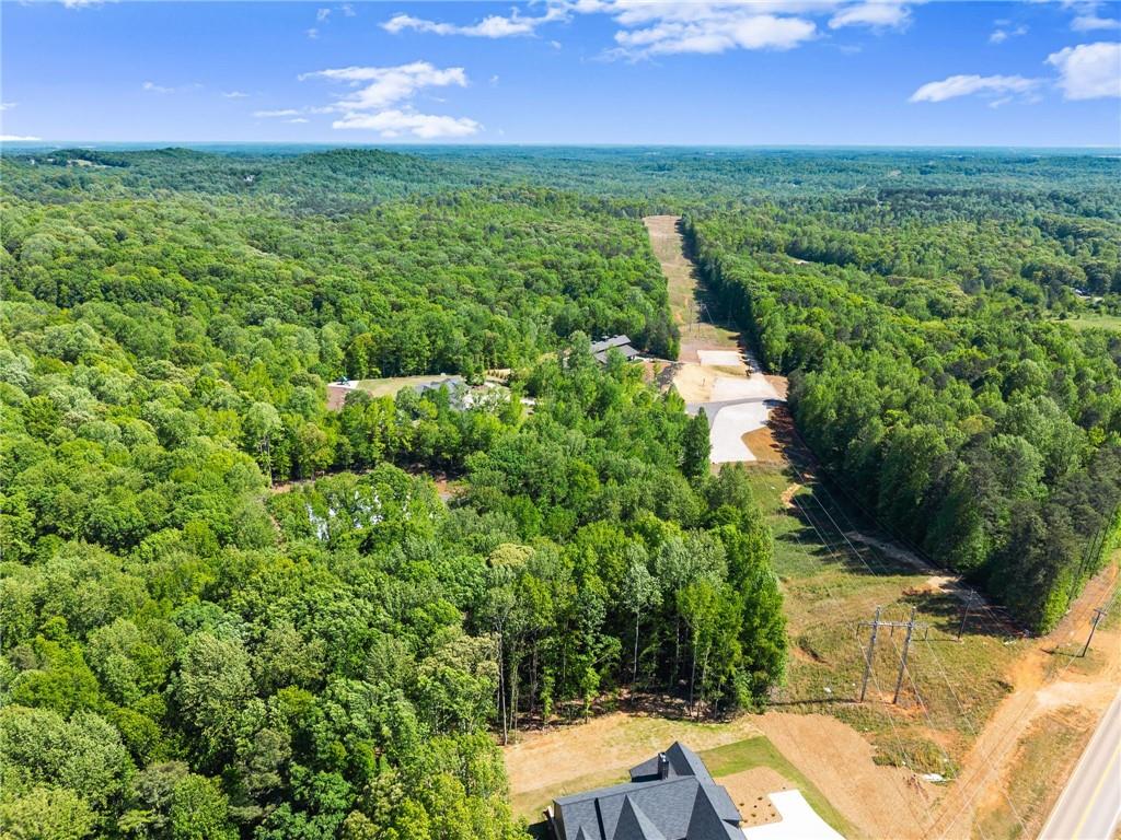 3263 Tanners Mill Road Property Photo 179