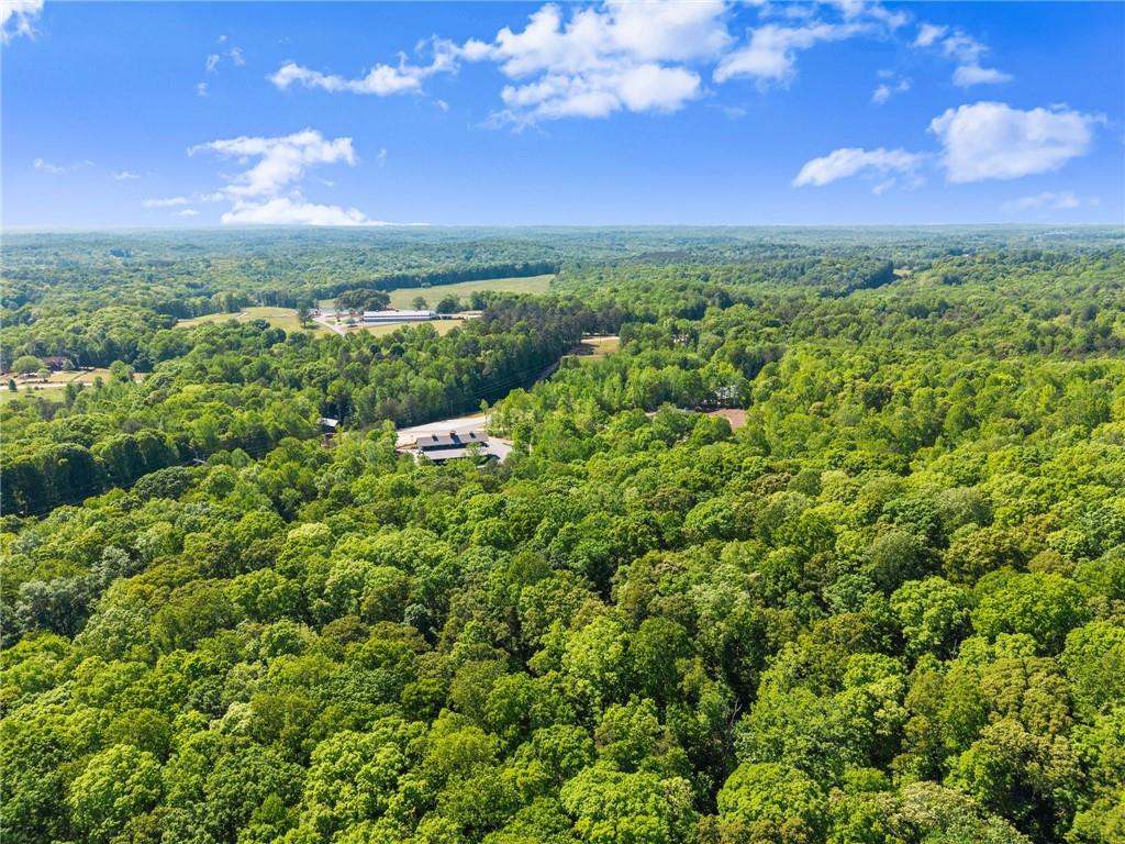 3263 Tanners Mill Road Property Photo 183