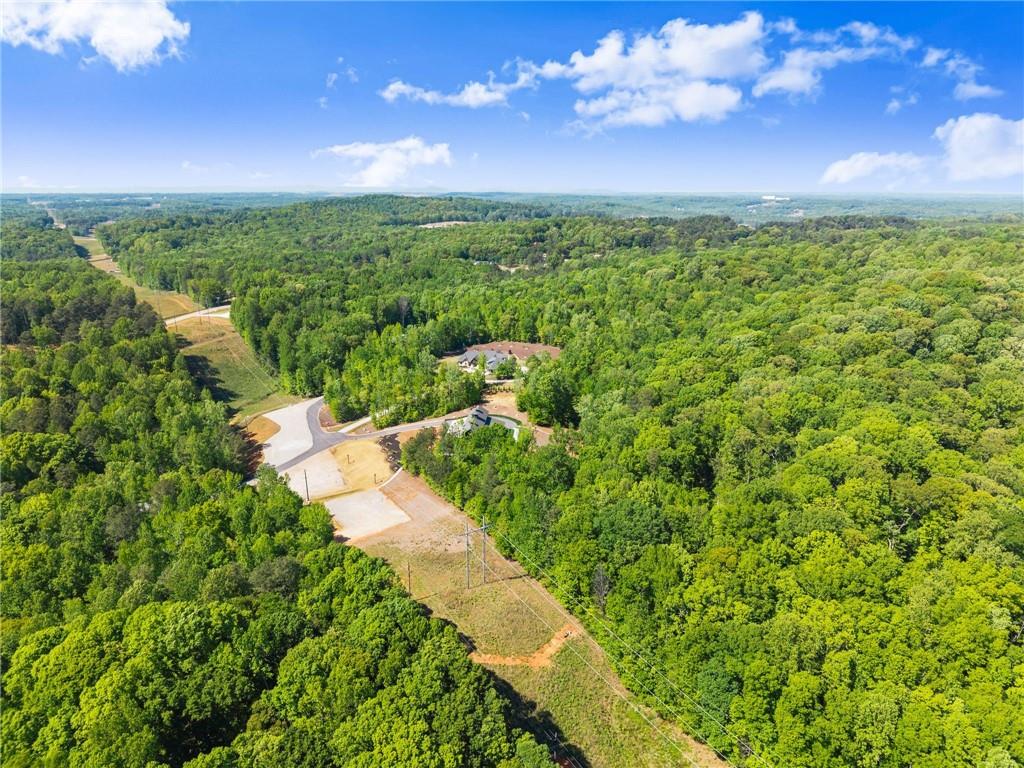3263 Tanners Mill Road Property Photo 184