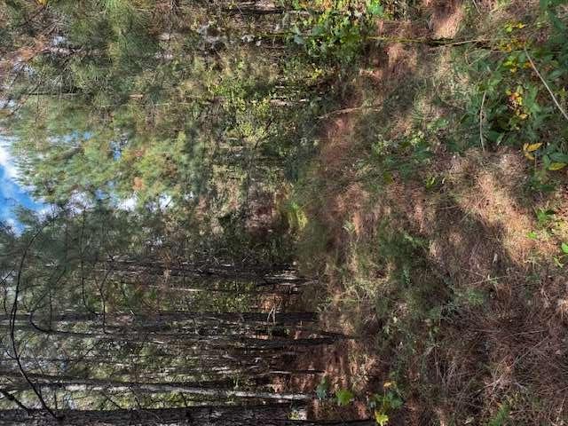 230 Dodgen Road Property Photo 1
