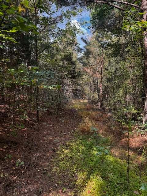 230 Dodgen Road Property Photo 3