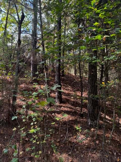 230 Dodgen Road Property Photo 4