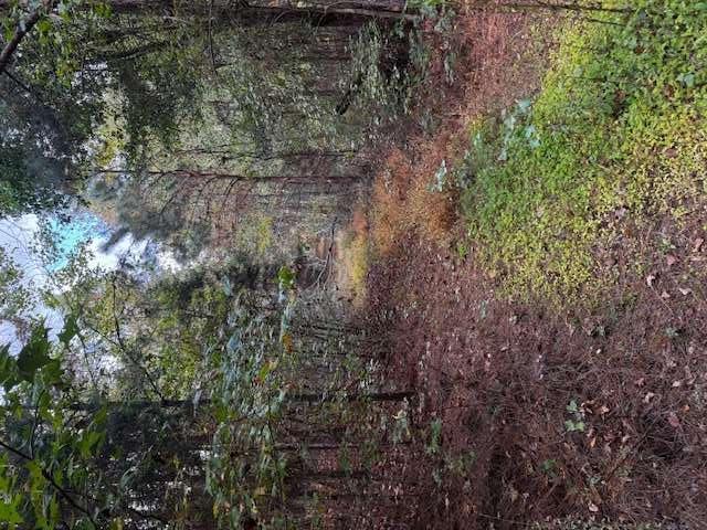 230 Dodgen Road Property Photo 5