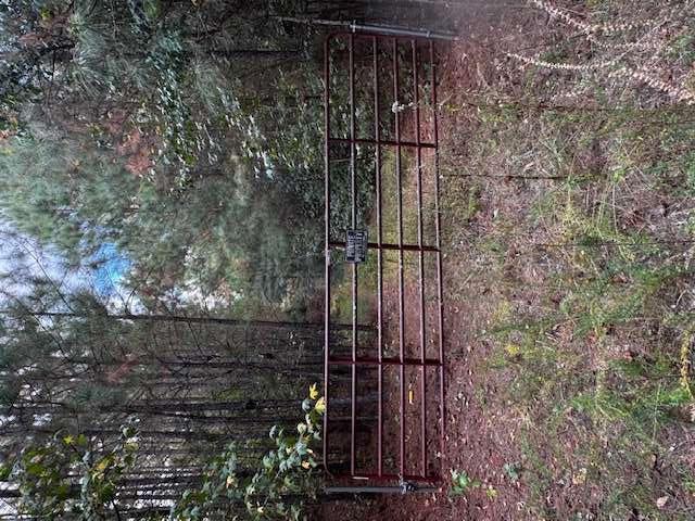 230 Dodgen Road Property Photo 6