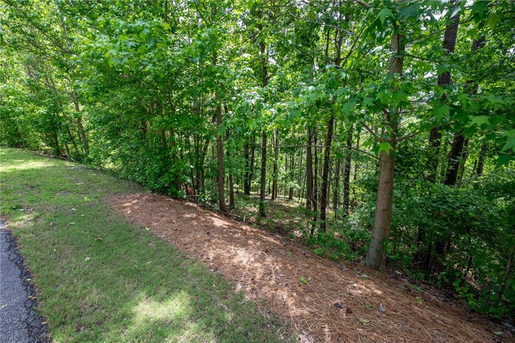 25 Sunset Ridge Se Property Photo 9