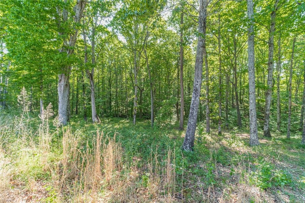 2124 Stonegate Way Property Photo 44