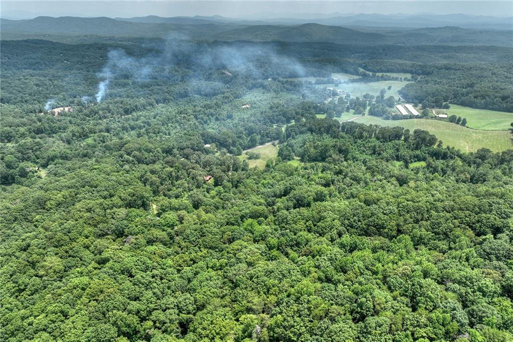7.89 Ac Laurel Springs Road Property Photo 3