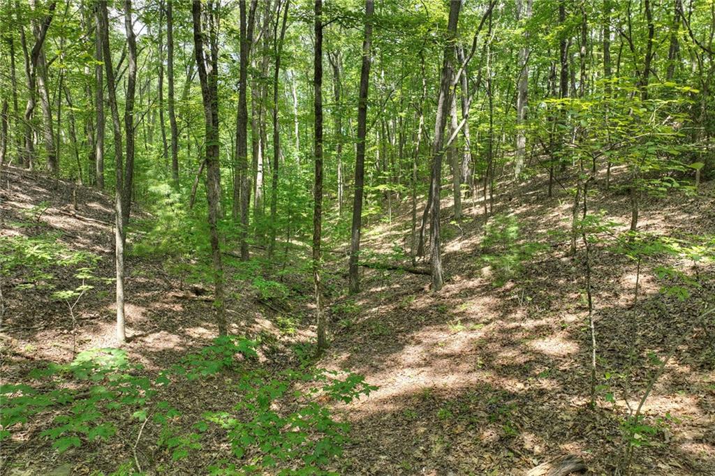 7.89 Ac Laurel Springs Road Property Photo 4