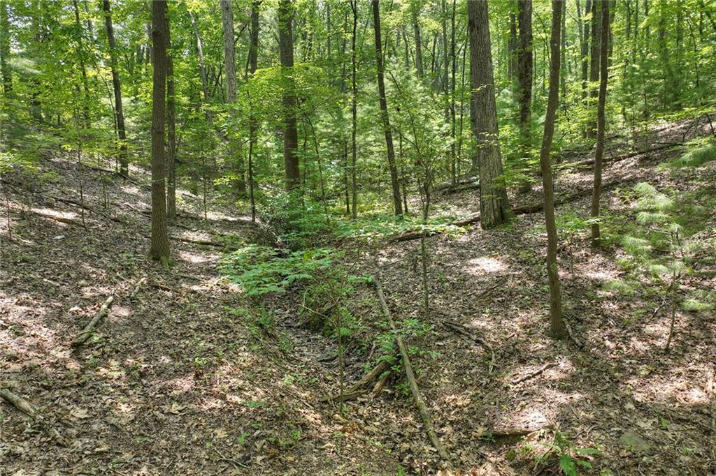 7.89 Ac Laurel Springs Road Property Photo 5