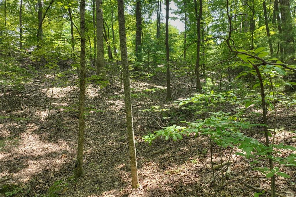 7.89 Ac Laurel Springs Road Property Photo 6