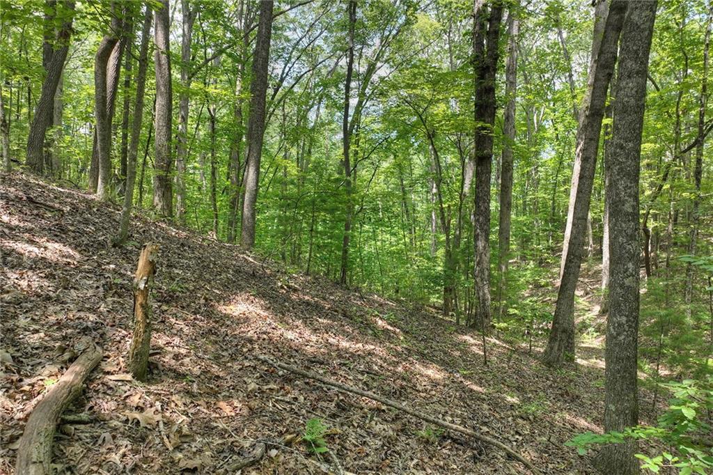 7.89 Ac Laurel Springs Road Property Photo 7