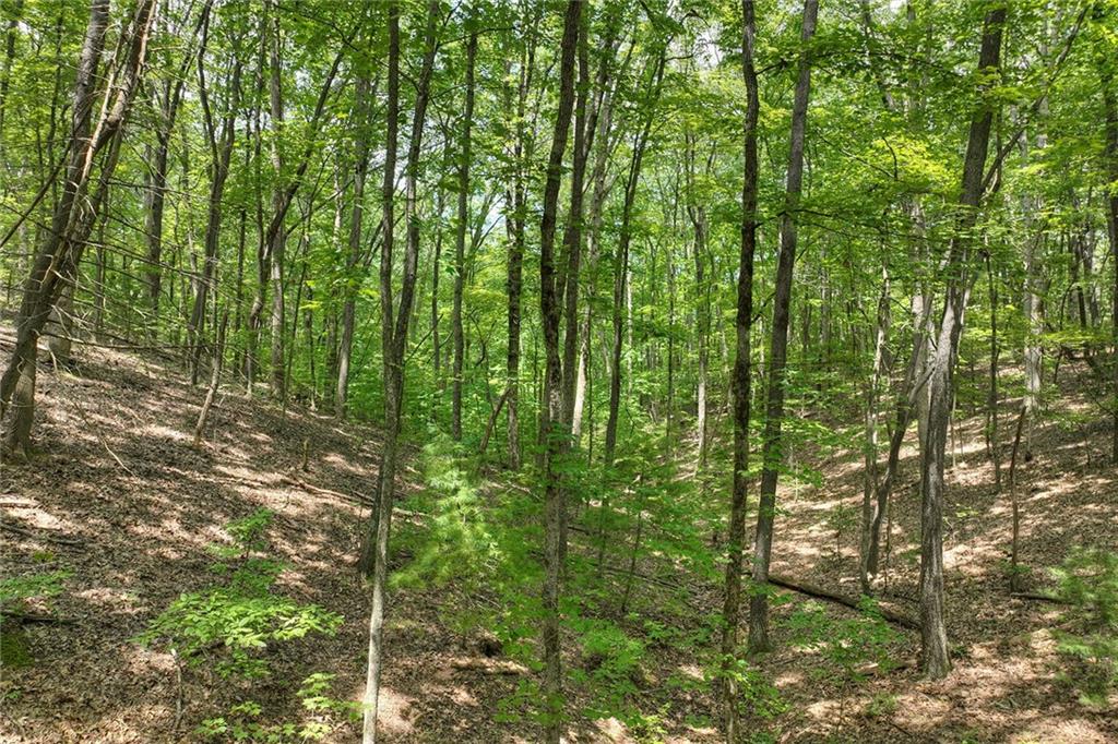 7.89 Ac Laurel Springs Road Property Photo 8
