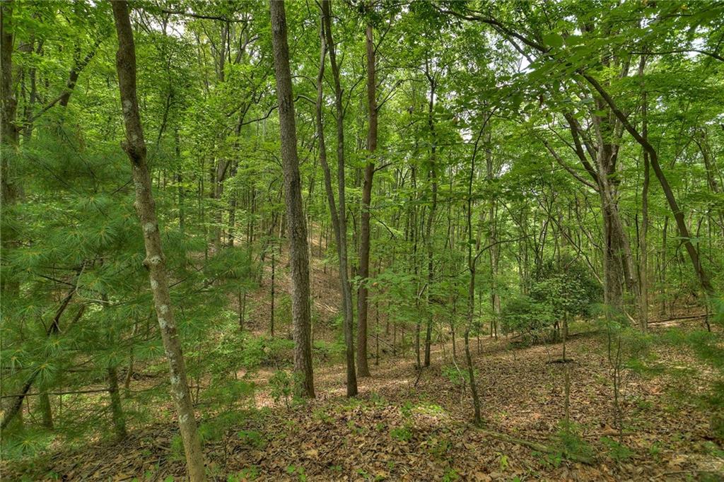 7.89 Ac Laurel Springs Road Property Photo 9