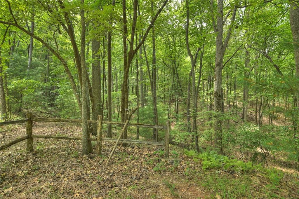 7.89 Ac Laurel Springs Road Property Photo 10