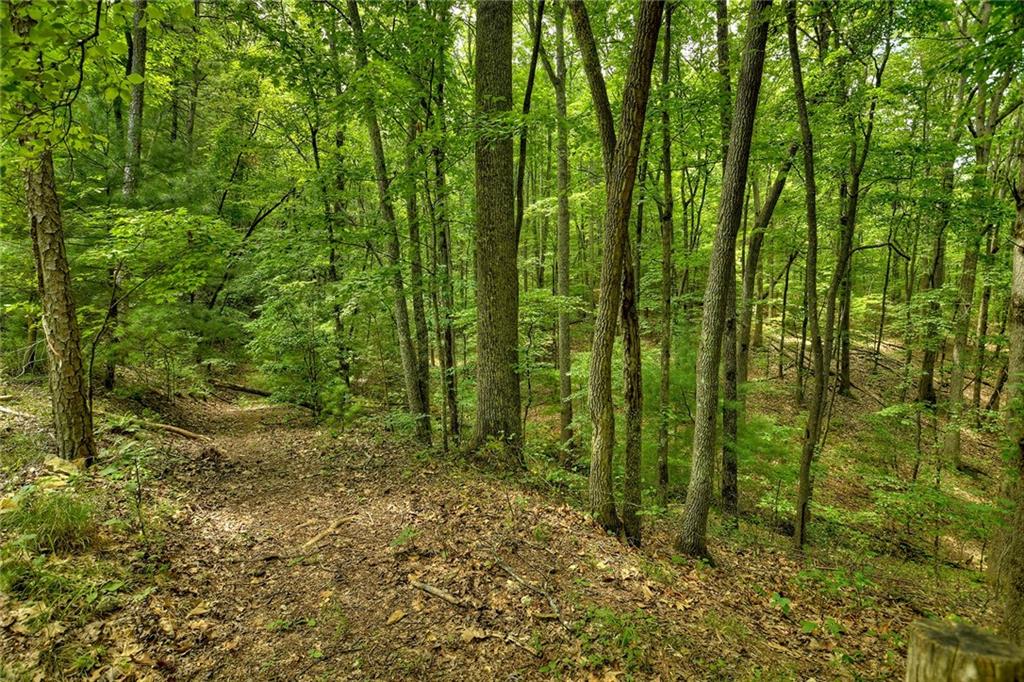 7.89 Ac Laurel Springs Road Property Photo 11