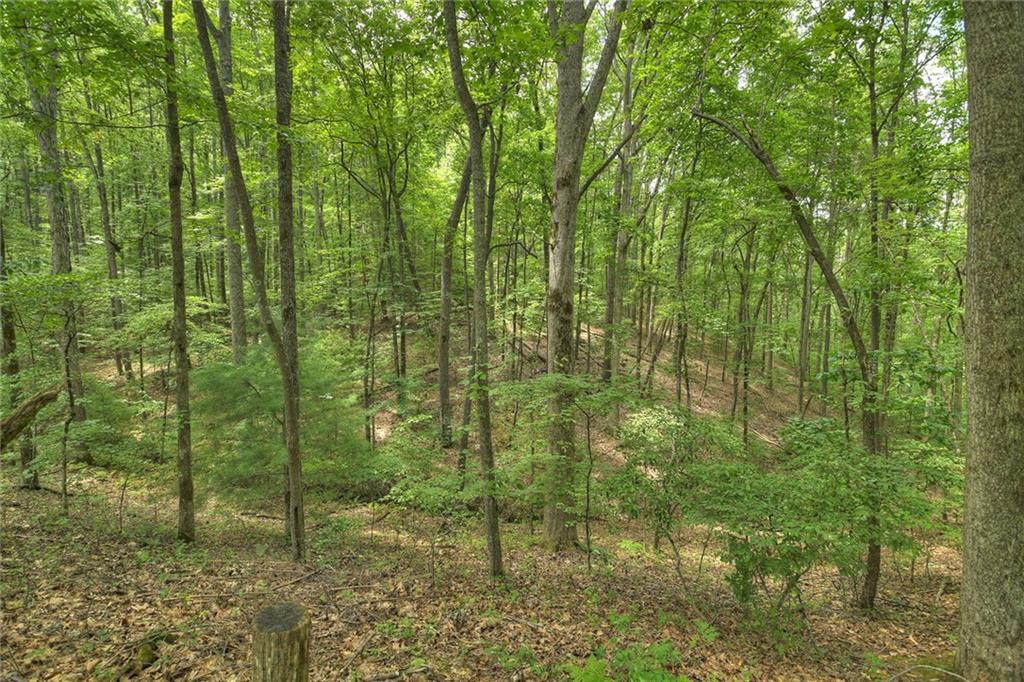 7.89 Ac Laurel Springs Road Property Photo 12
