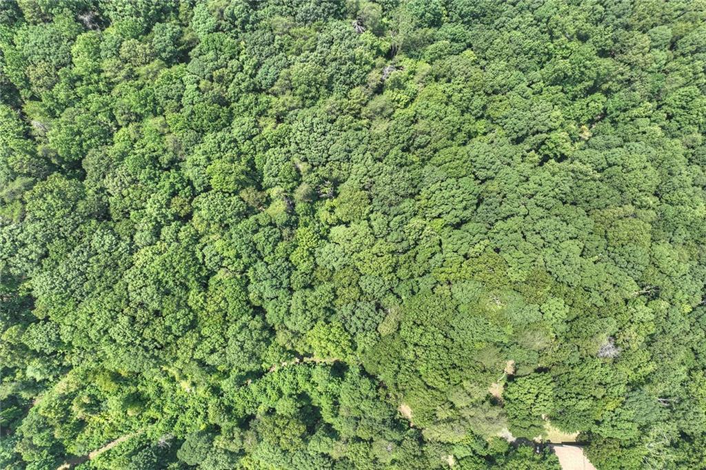 7.89 Ac Laurel Springs Road Property Photo 14