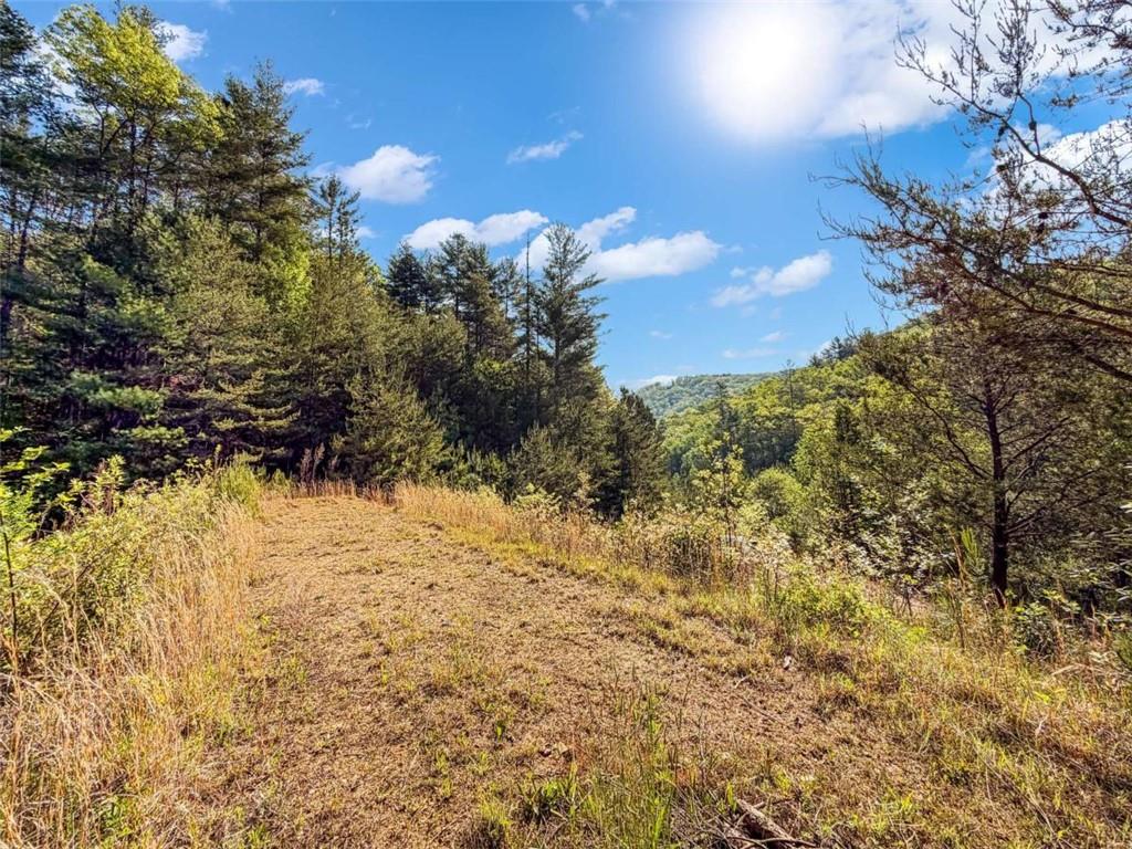 80 Acr Valley Lake Road Property Photo 6