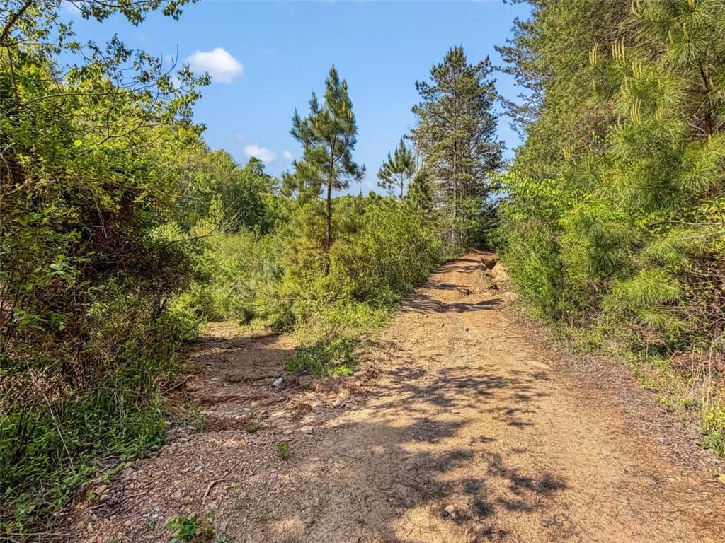 80 Acr Valley Lake Road Property Photo 13