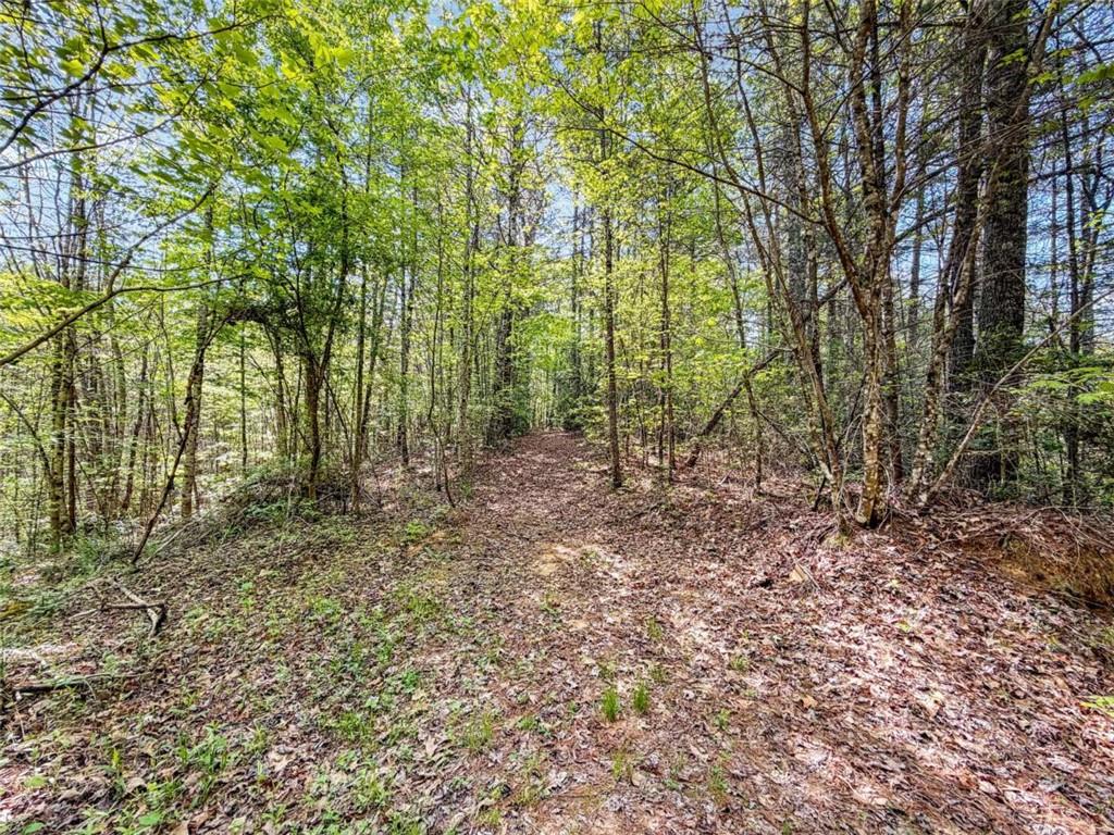 80 Acr Valley Lake Road Property Photo 14