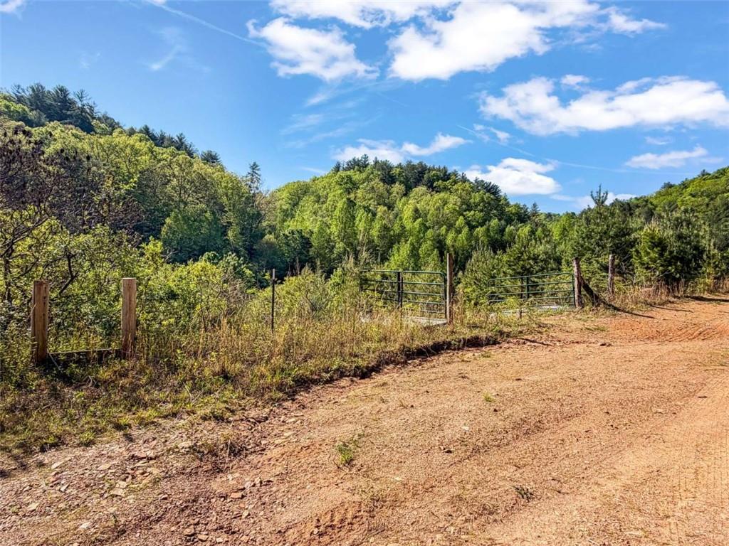 80 Acr Valley Lake Road Property Photo 15