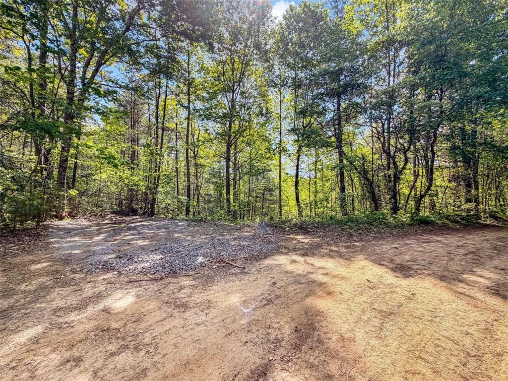 80 Acr Valley Lake Road Property Photo 16