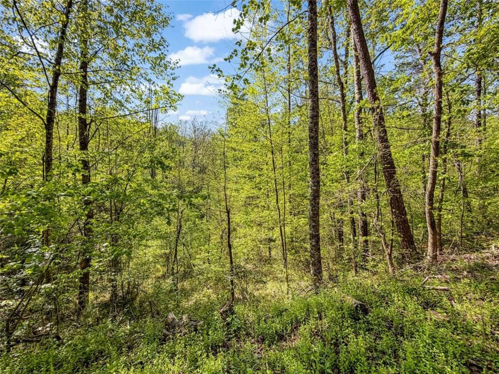 80 Acr Valley Lake Road Property Photo 17