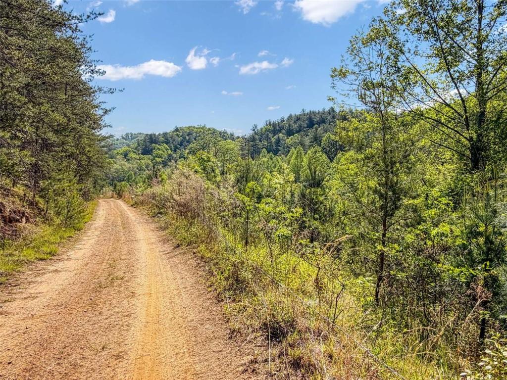 80 Acr Valley Lake Road Property Photo 19