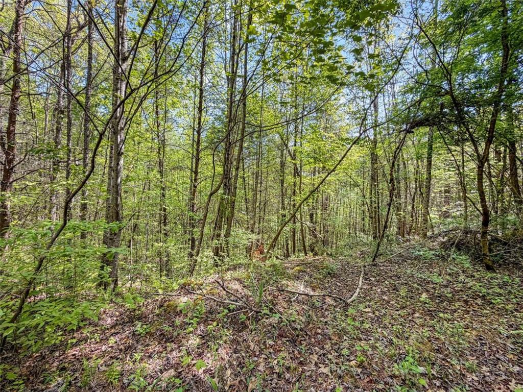 80 Acr Valley Lake Road Property Photo 20