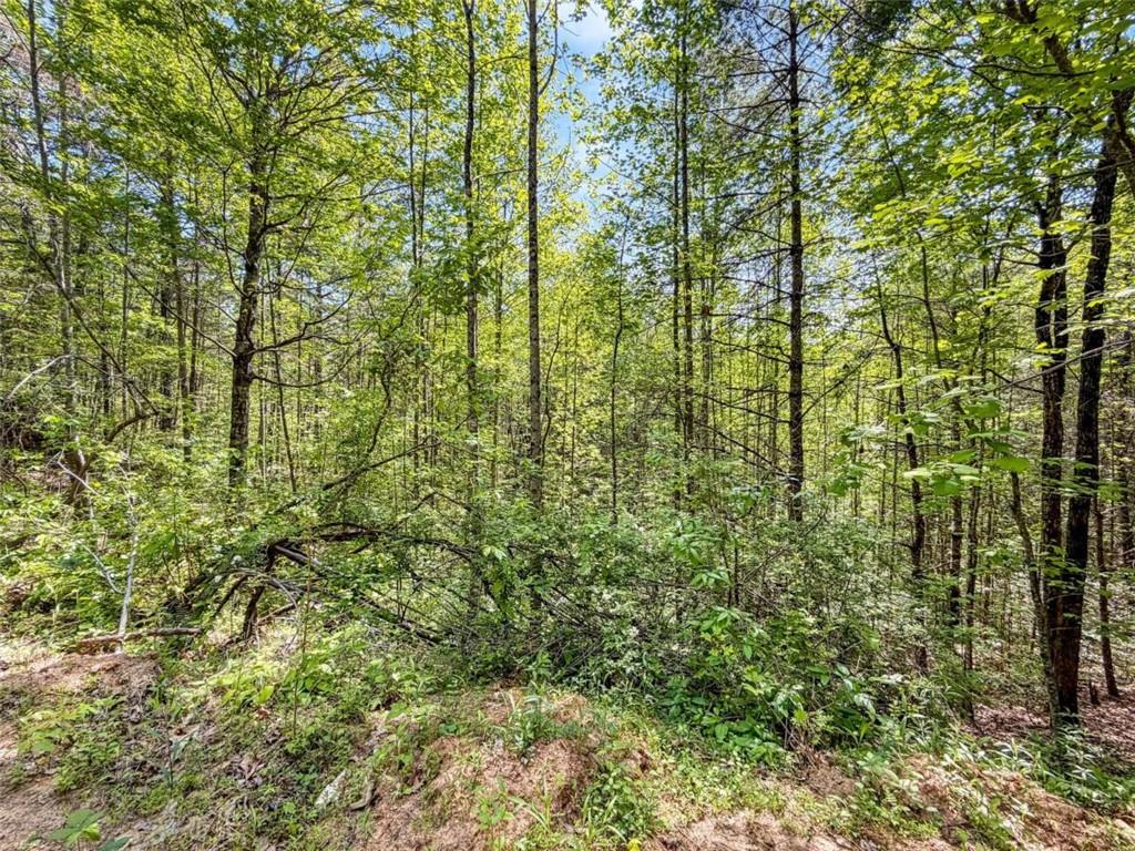 80 Acr Valley Lake Road Property Photo 22