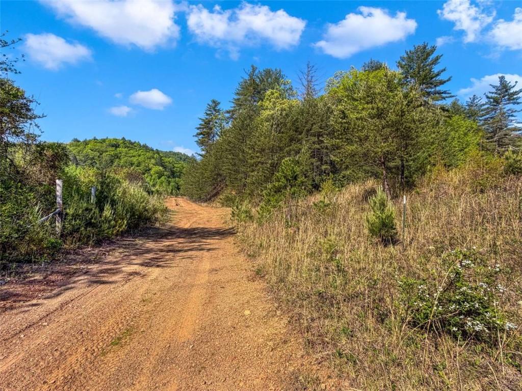 80 Acr Valley Lake Road Property Photo 25