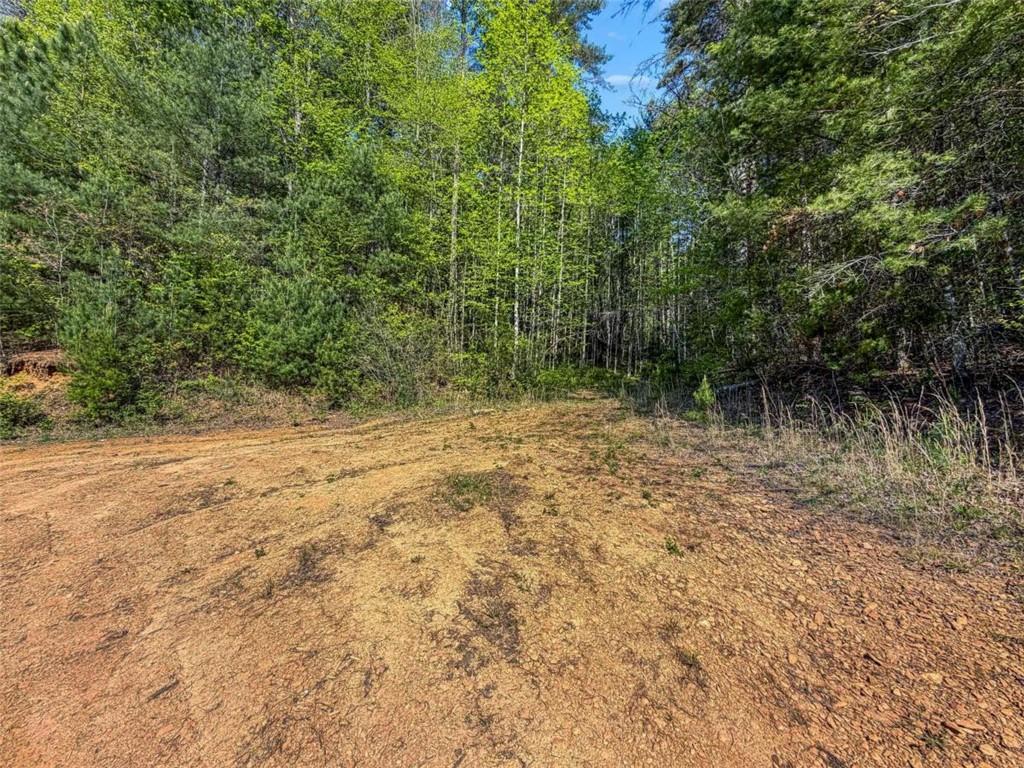 80 Acr Valley Lake Road Property Photo 27