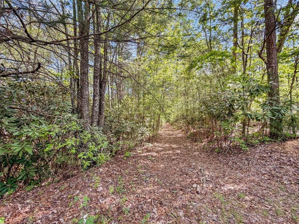 80 Acr Valley Lake Road Property Photo 33