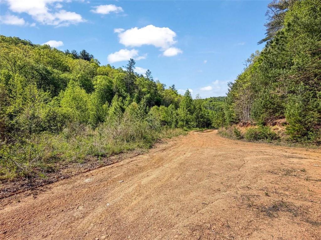 80 Acr Valley Lake Road Property Photo 39