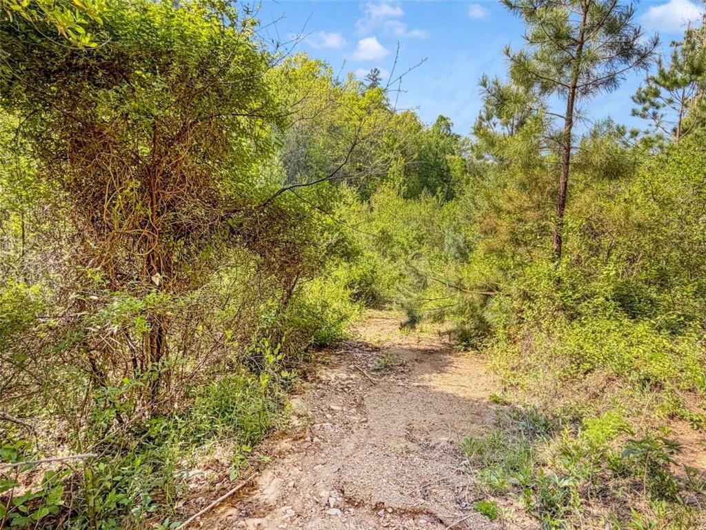 80 Acr Valley Lake Road Property Photo 43