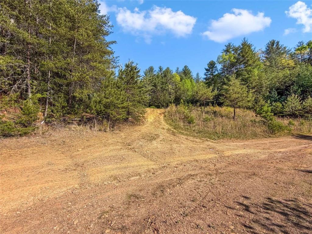 80 Acr Valley Lake Road Property Photo 45