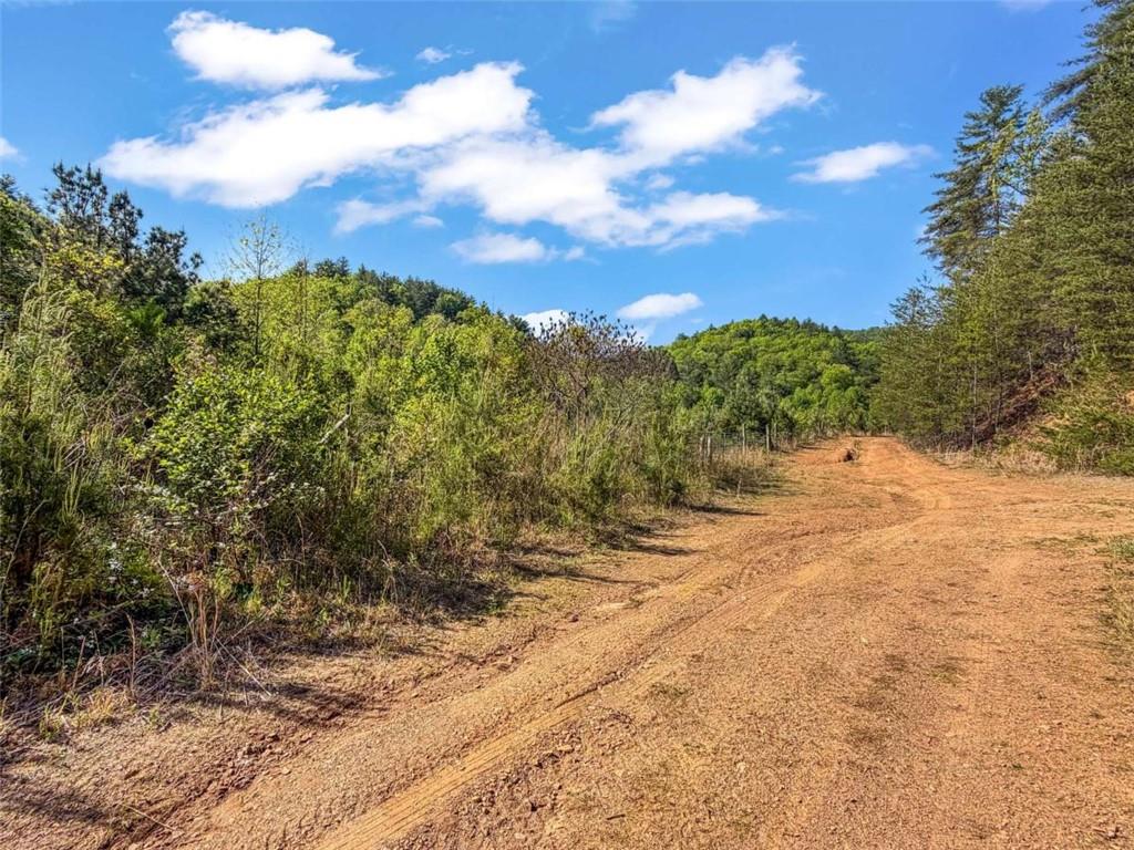 80 Acr Valley Lake Road Property Photo 46