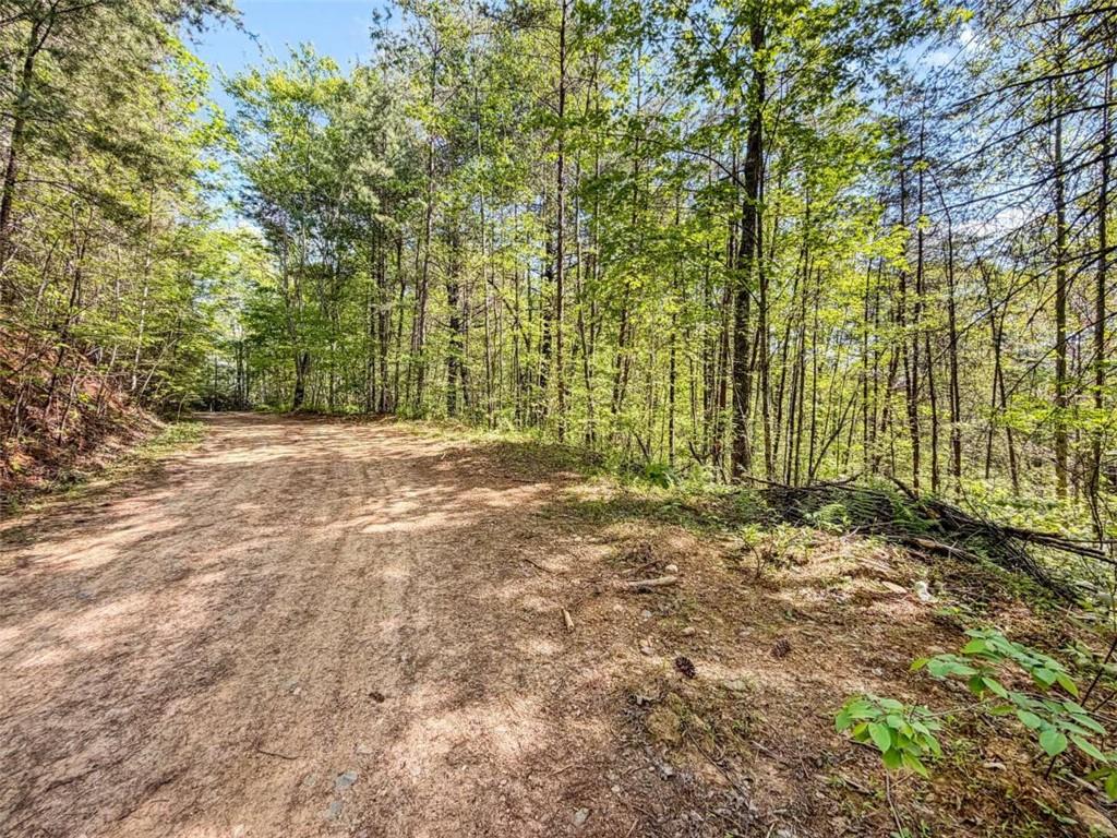 80 Acr Valley Lake Road Property Photo 47
