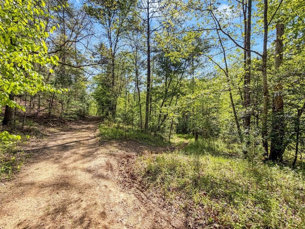 80 Acr Valley Lake Road Property Photo 48