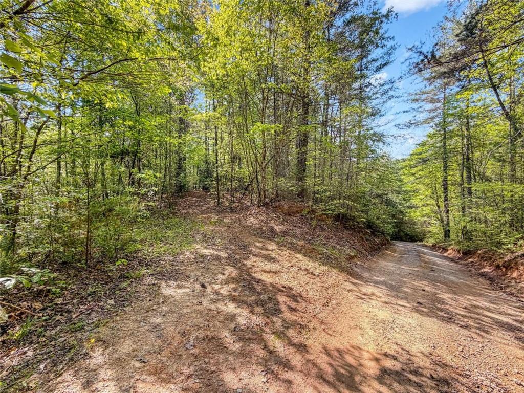 80 Acr Valley Lake Road Property Photo 49