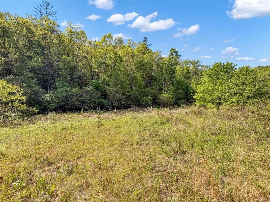 80 Acr Valley Lake Road Property Photo 52