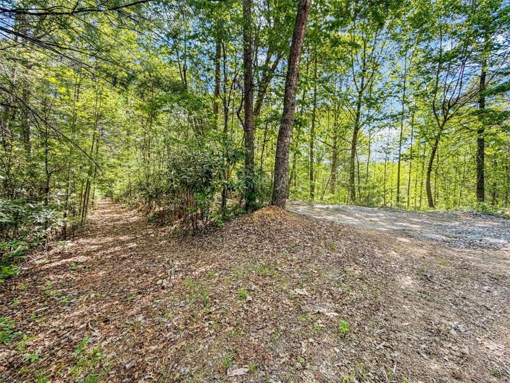 80 Acr Valley Lake Road Property Photo 55