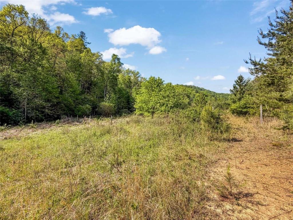 80 Acr Valley Lake Road Property Photo 56