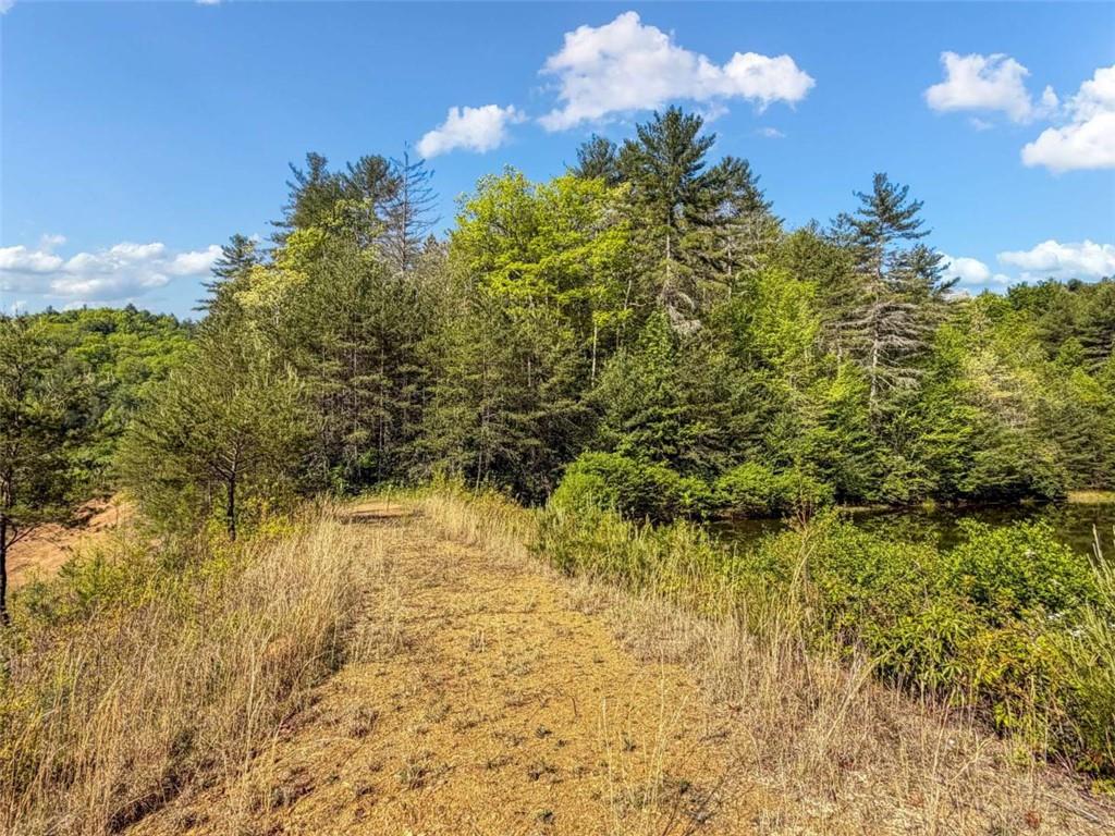 80 Acr Valley Lake Road Property Photo 57